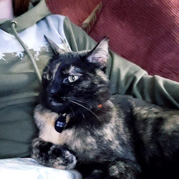 Meet your Posher, Kiki - Picture 4 of 5